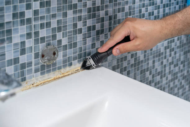 Professional Mold Remediation in Boulder Hill, IL
