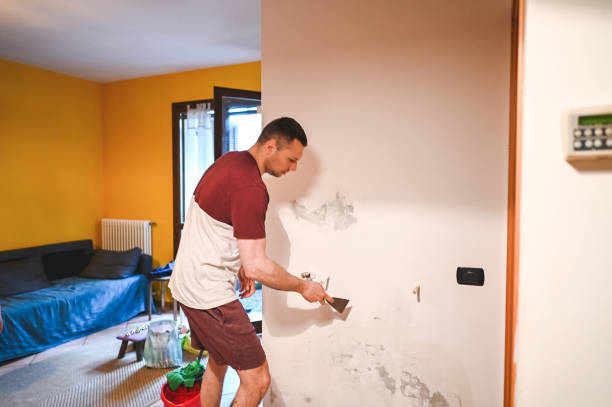 Best White Mold Remediation in Boulder Hl, IL
